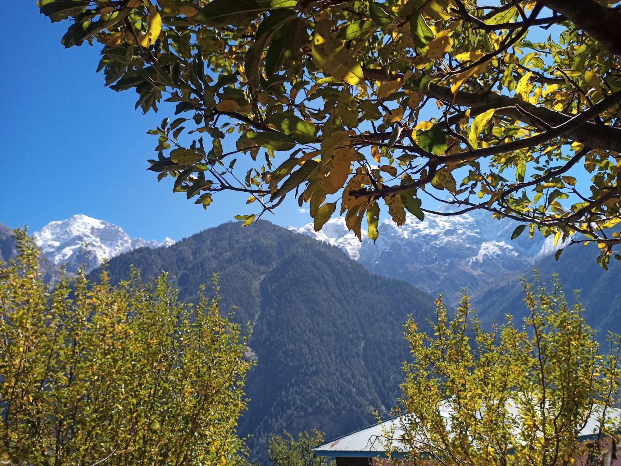 The Shudarang Inn Kalpa Esterno foto