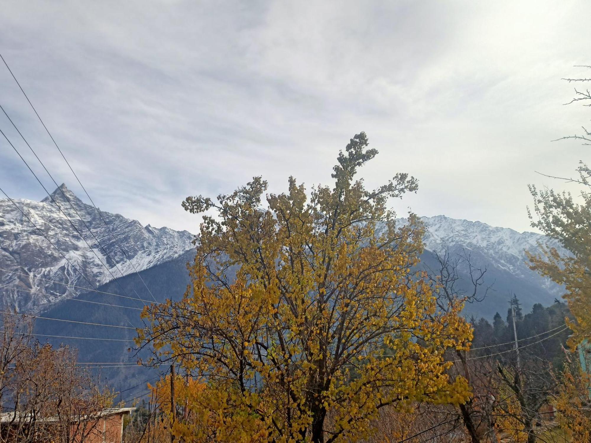 The Shudarang Inn Kalpa Esterno foto